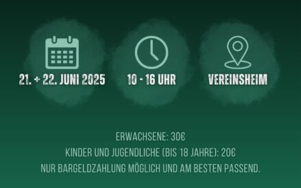 TV Schiffdorf gegen Füchse Berlin